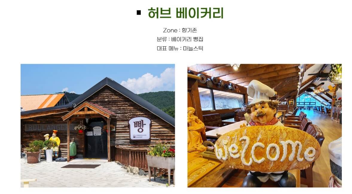 2025년 포천 허브아일랜드 라데봄 축제 완전 정복 가이드! 라데봄 축제 라벤더, 데이지 그리고 봄