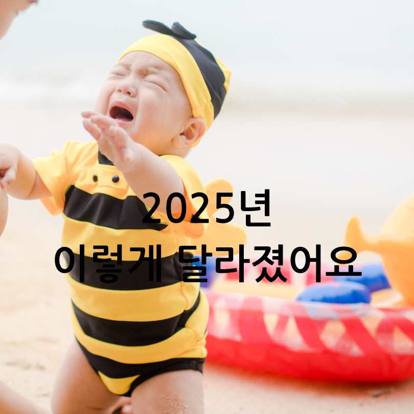 서울 엄마아빠택시