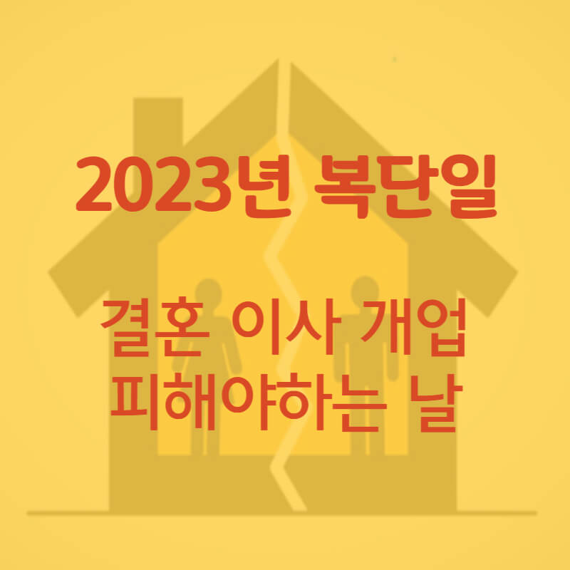 2023년-복단일-썸네일