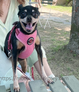 대청호카페-롤라-브런치카페