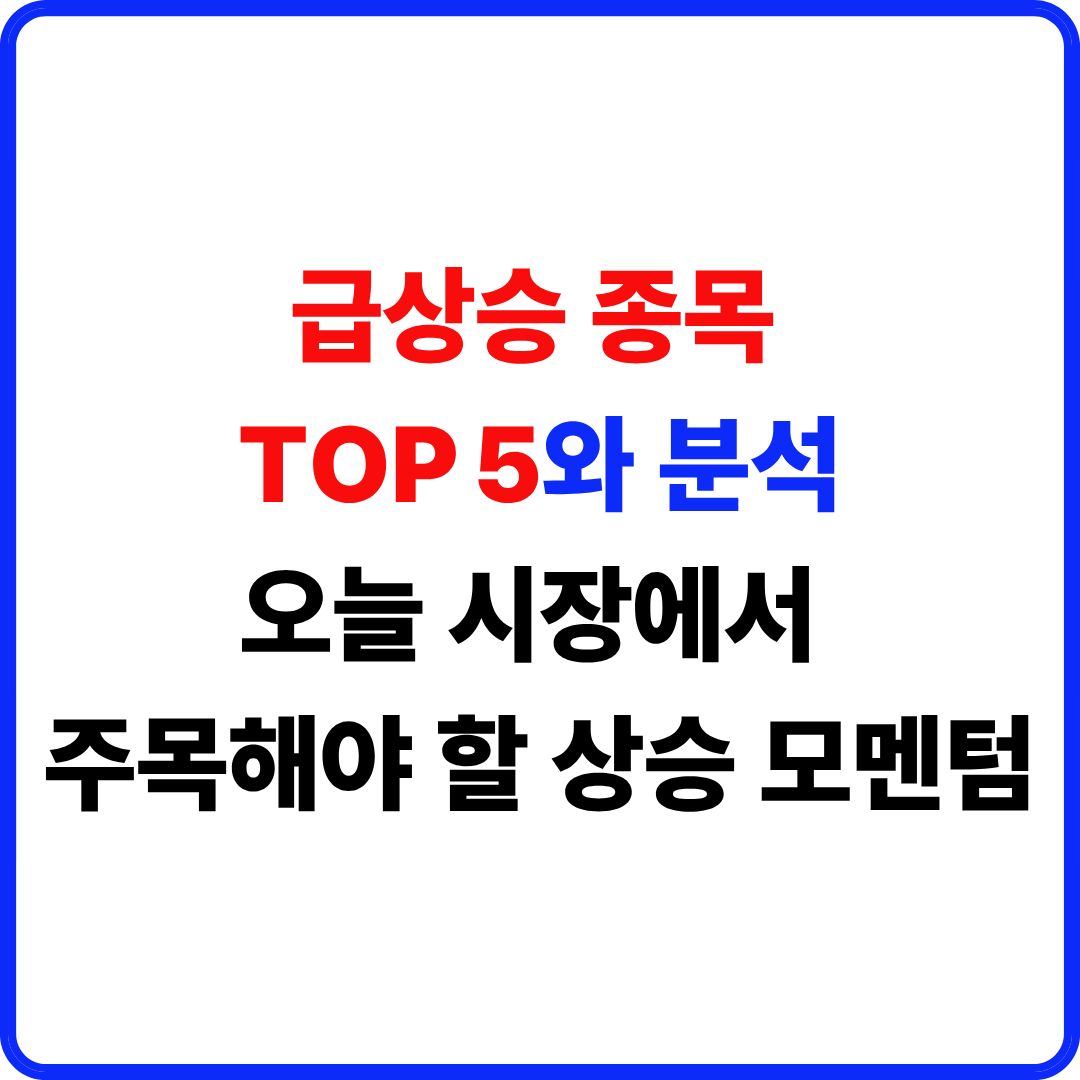 급상승 종목 TOP 5와 분석