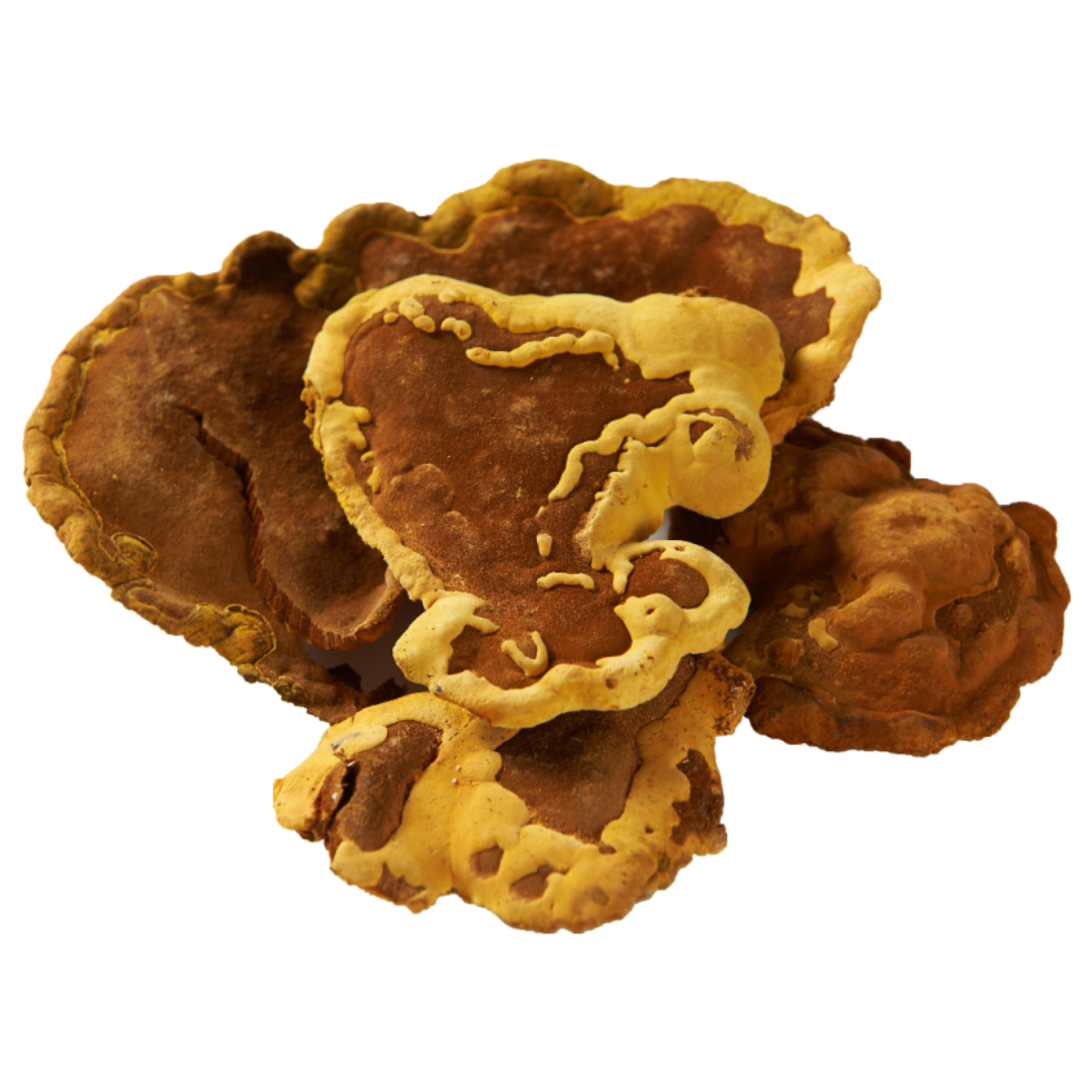 홍삼과 관련된 사진입니다.