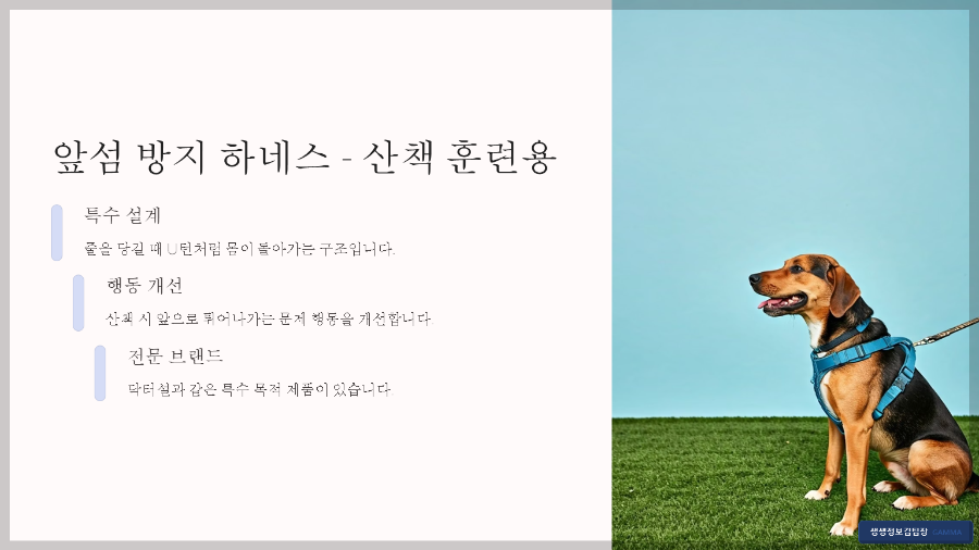 산책 전용 하네스 추천