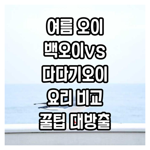 여름 제철 오이 추천 백오이 다다기오..