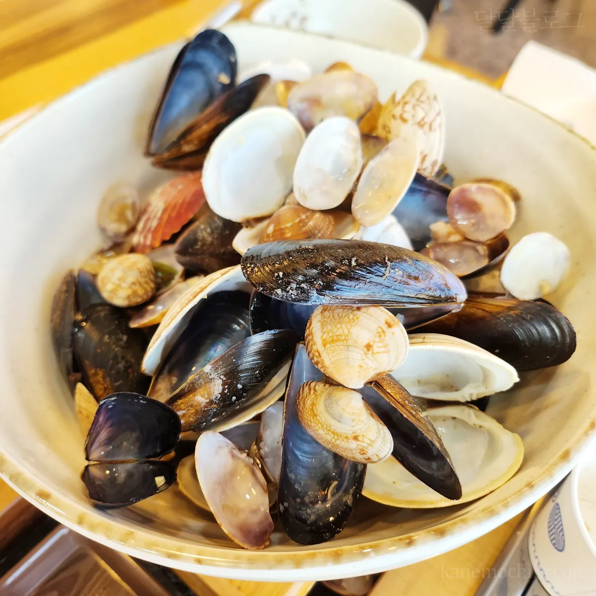 정가네해물-손칼국수-조개