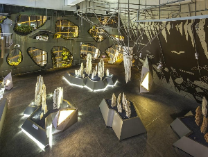 싱가포르 여행 추천 싱가포르 클라우드 포레스트