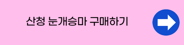 경남 산청 산나물 ‘눈개승마’ 구매처