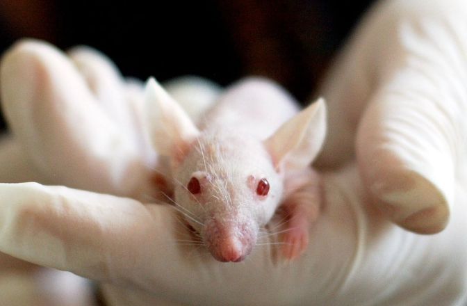 띠별운세 10월 30일