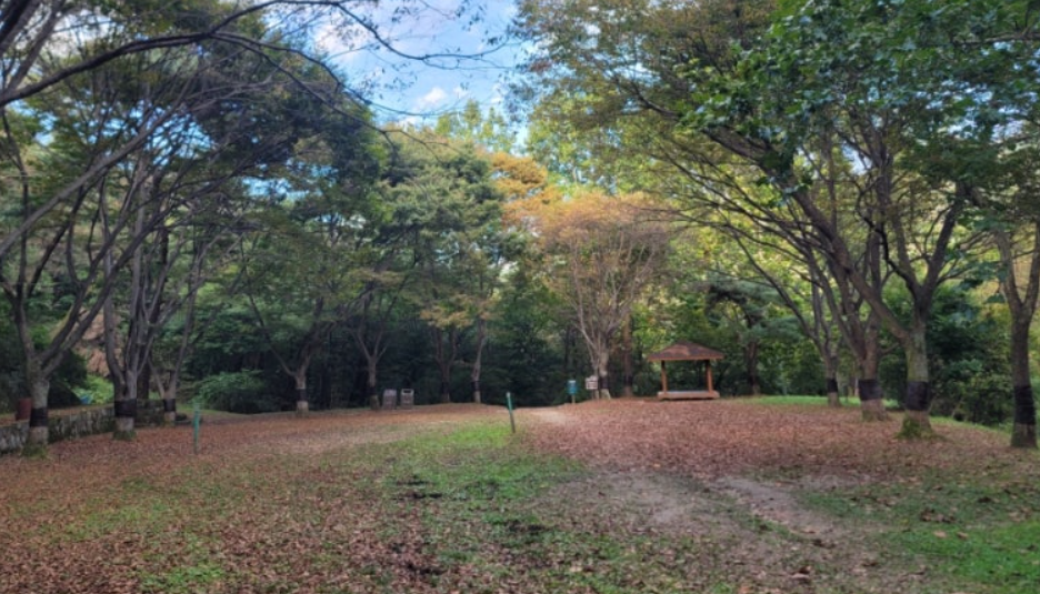 서울대공원 둘레길과 청계산 코스
