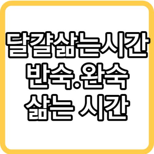 달걀 삶는 시간 계란 반숙, 완숙 삶는 시간 정확히 알려드려요.