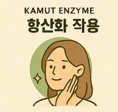 카무트 효소 효능