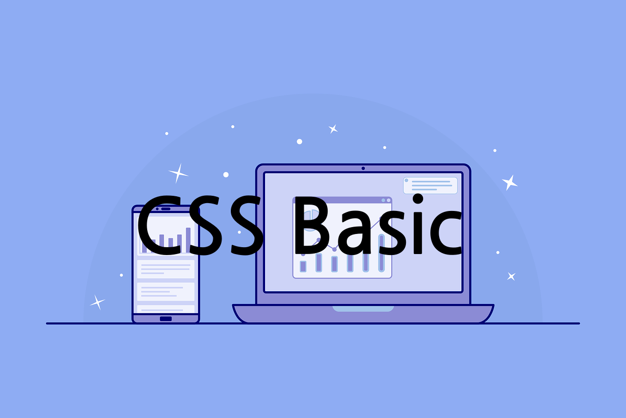 CSS Basic 이미지