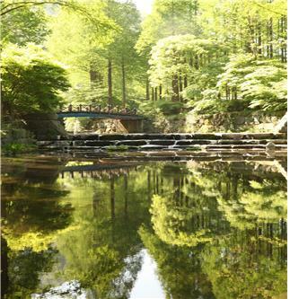 장태산 자연휴양림