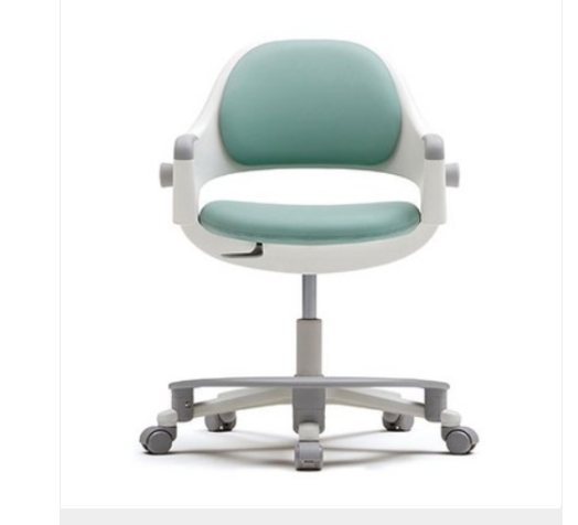 시디즈 의자 추천 - 시디즈 링고 SNA509ACF