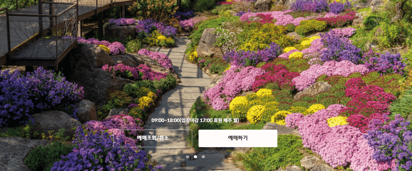 화담숲 예약 / 화담숲 모노레일 예약 / 단풍명소 곤지암 화담숲