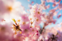 3월 인사말 문구 모음 3월인사말씀 메시지 문구