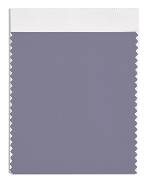 블루 그래나이트(Pantone Blue Granite)
