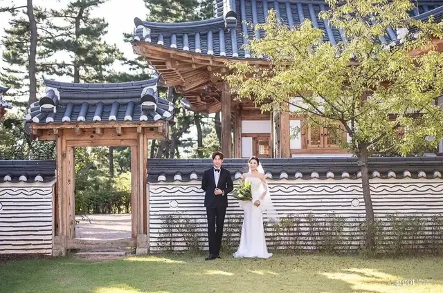 이완 이보미 결혼 관련 사진