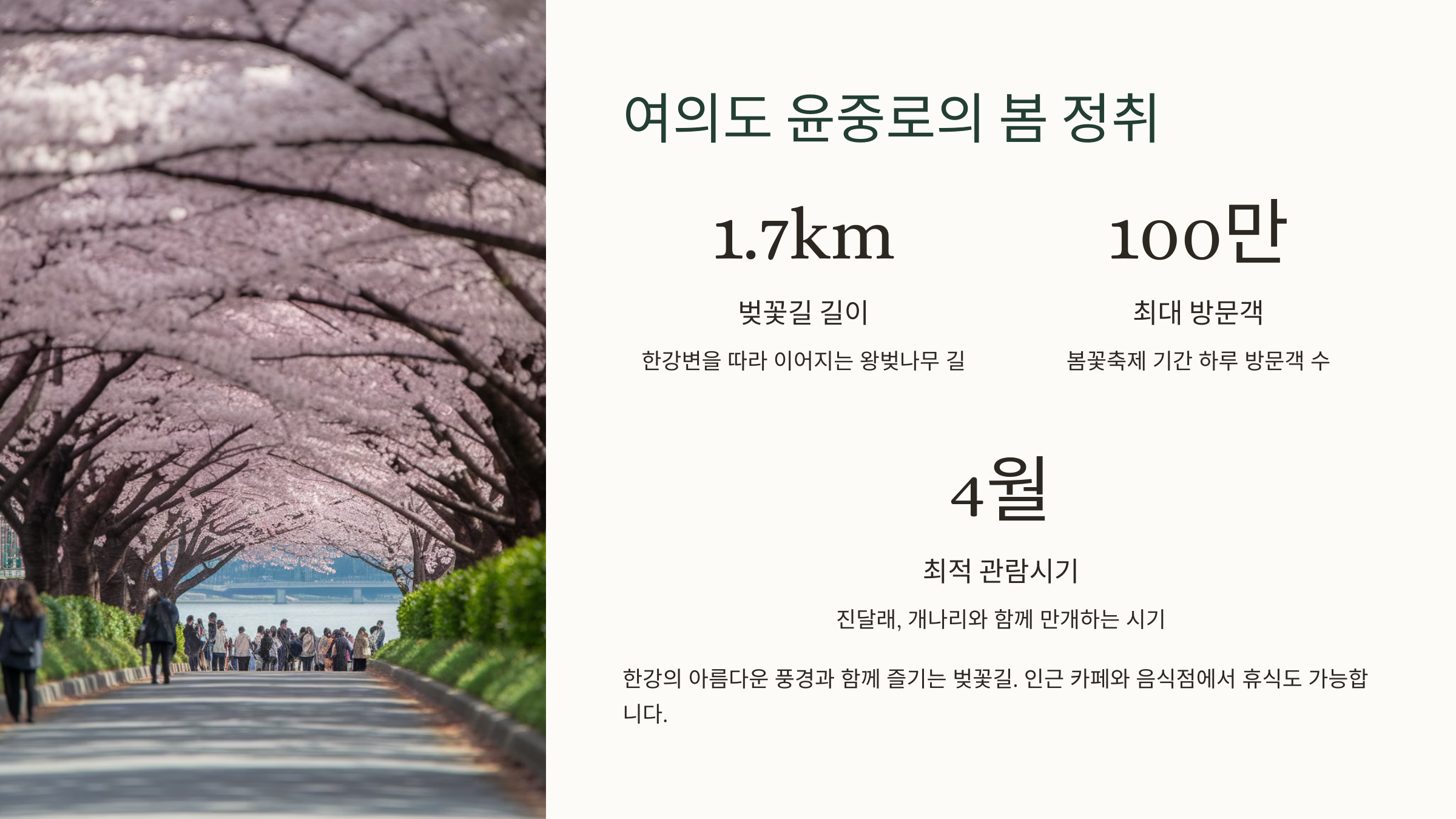 여의도 윤중로의 봄 정취