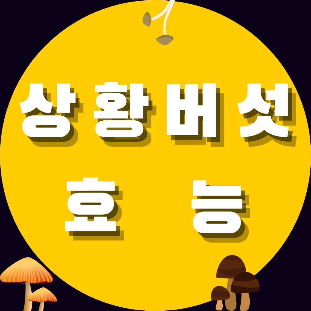 상황버섯 효능 14가지