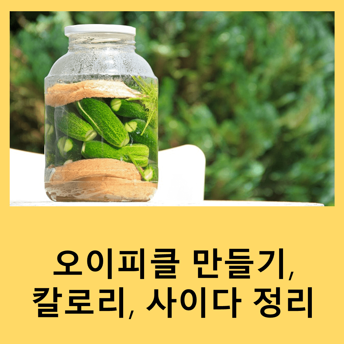 오이피클