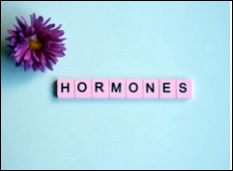 자궁근종을 줄이는 방법