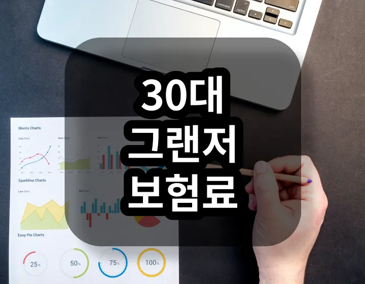 30대 그랜저 보험료 비교