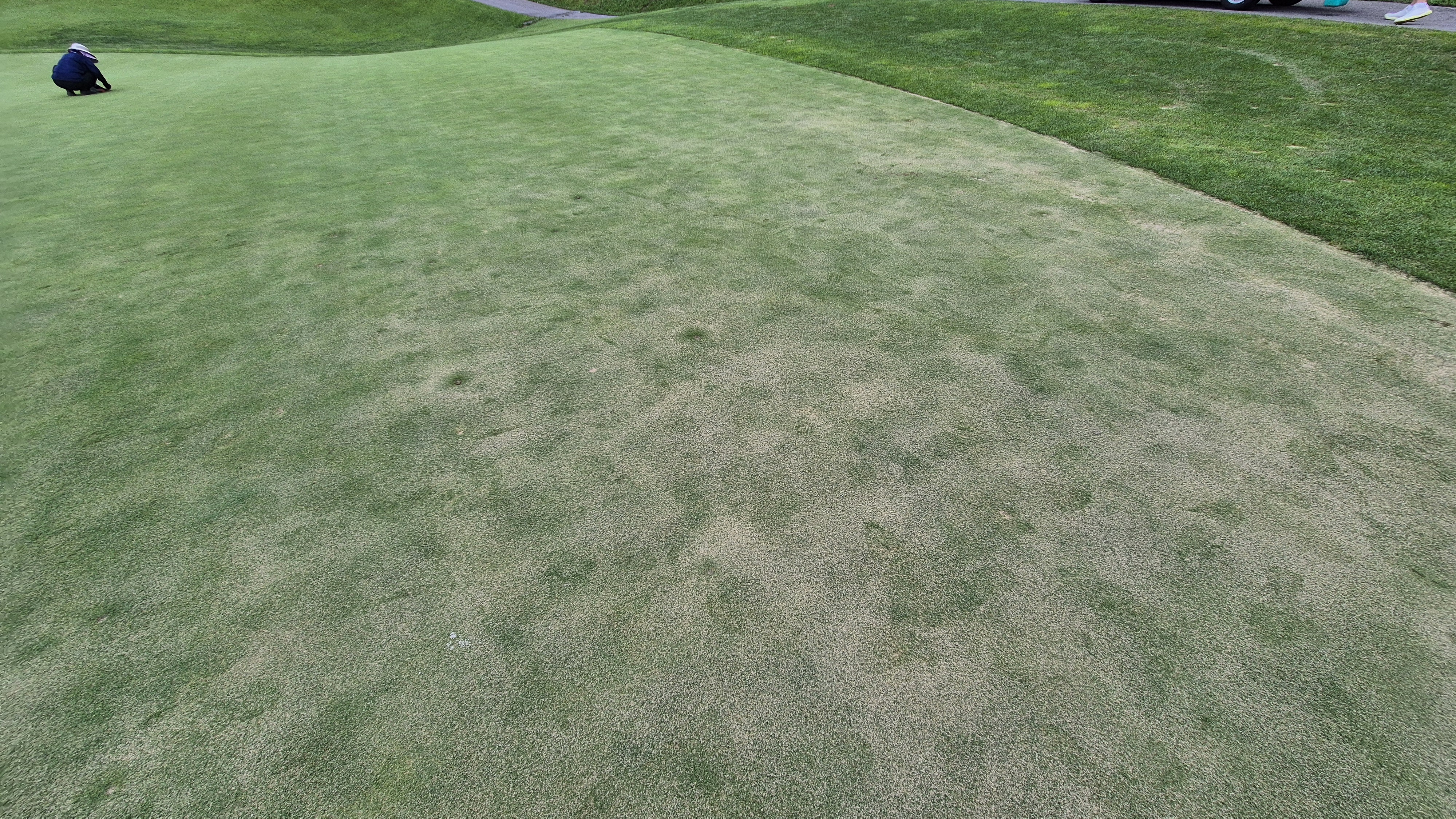 참밸리cc 라운드 후기