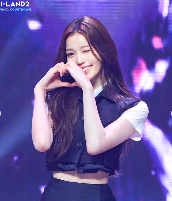 정세비