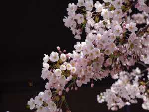 일본 여행 추천 직접 다녀온 실제 후기