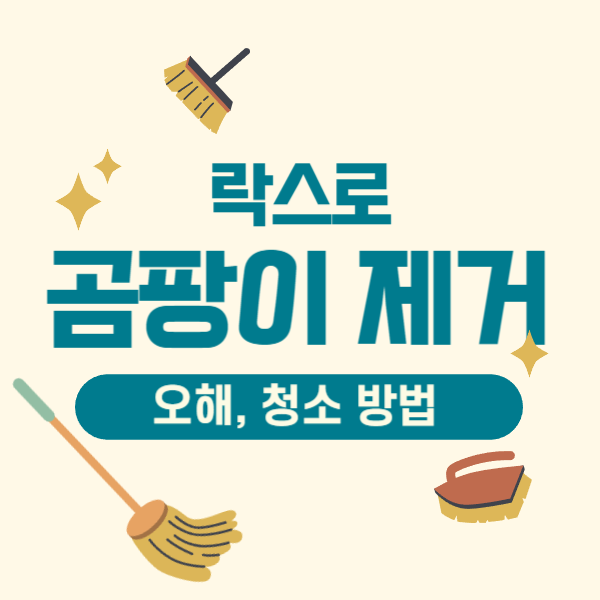 락스_곰팡이_제거