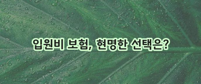 라이나생명 입원비 보험 비교 이제 꼼꼼하게 따져보세요!