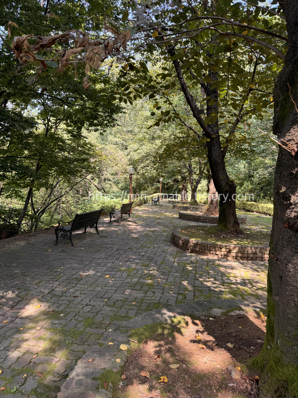 경희대학교국제캠퍼스