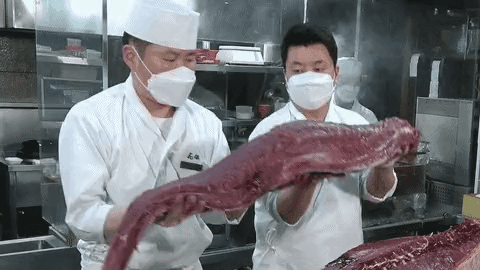 해체해서 발라낸 참치를 부위별로 정리하기 위해 옮기고 있는 정호영셰프