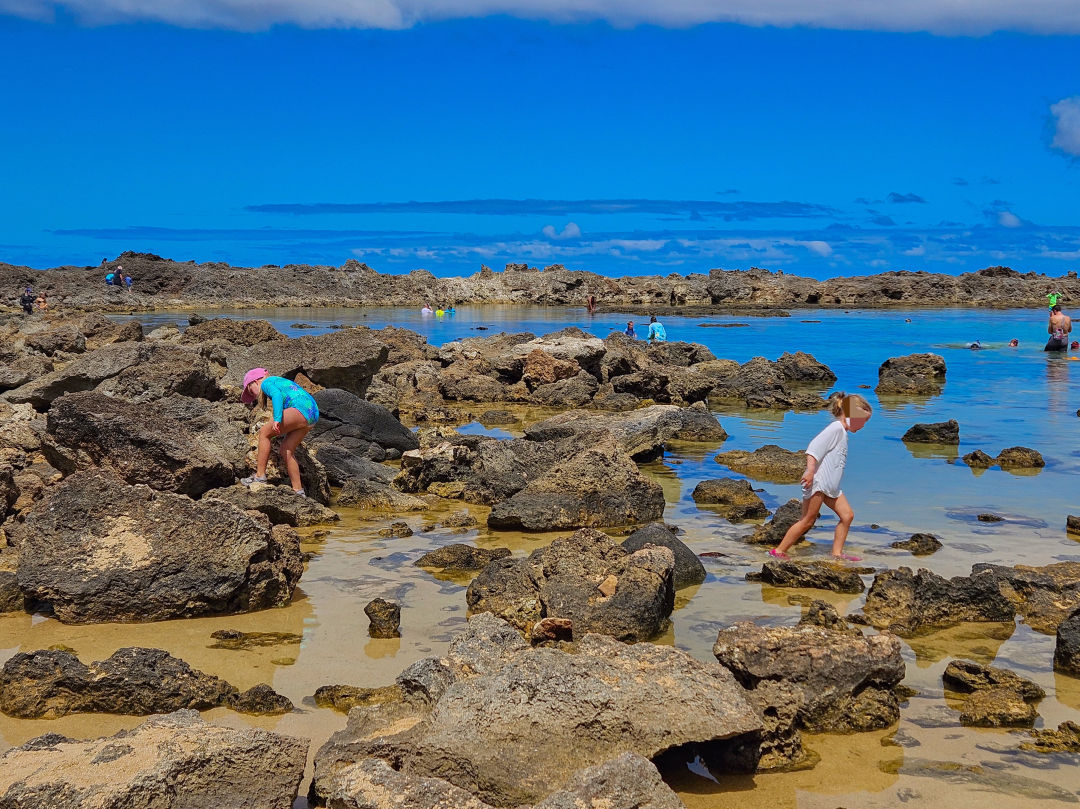 샥스코브 스노쿨링