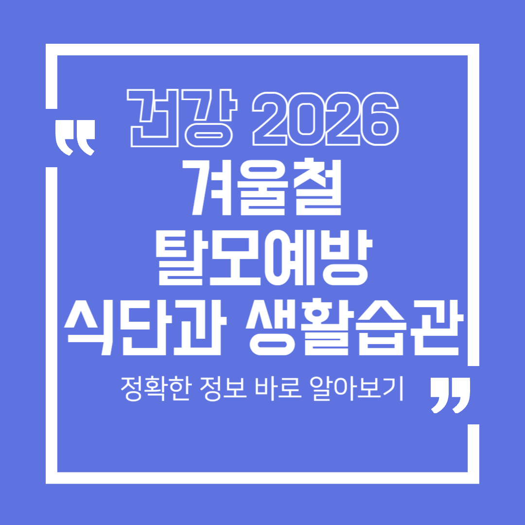 [건강 2026] 겨울철 탈모 예방, 체크 리스트 및 식단 추천