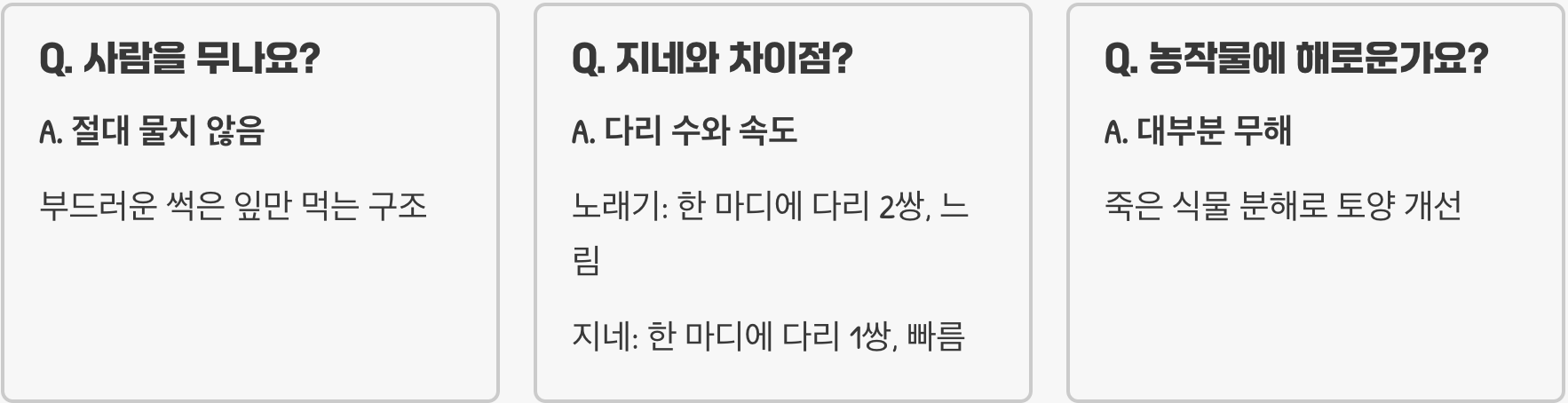 노래기, 사람에게 해로운 벌레일까? (독성, 냄새)