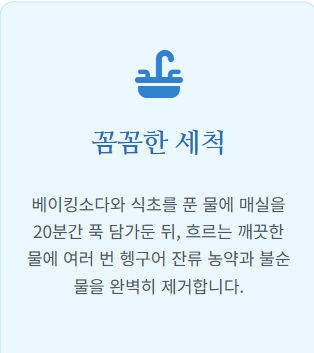 매실 장아찌 아삭하게담는법