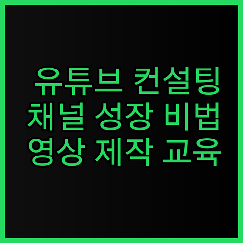 유튜브 컨설팅으로 채널 성장, 교육으