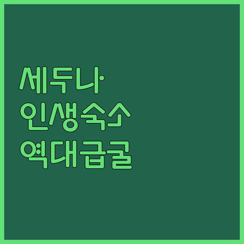 세두나 숙소 베스트 5 널라버 평원 ..