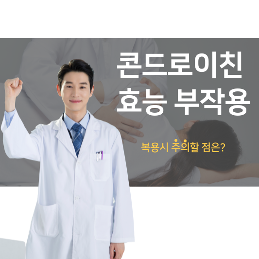 콘드로이친 효능