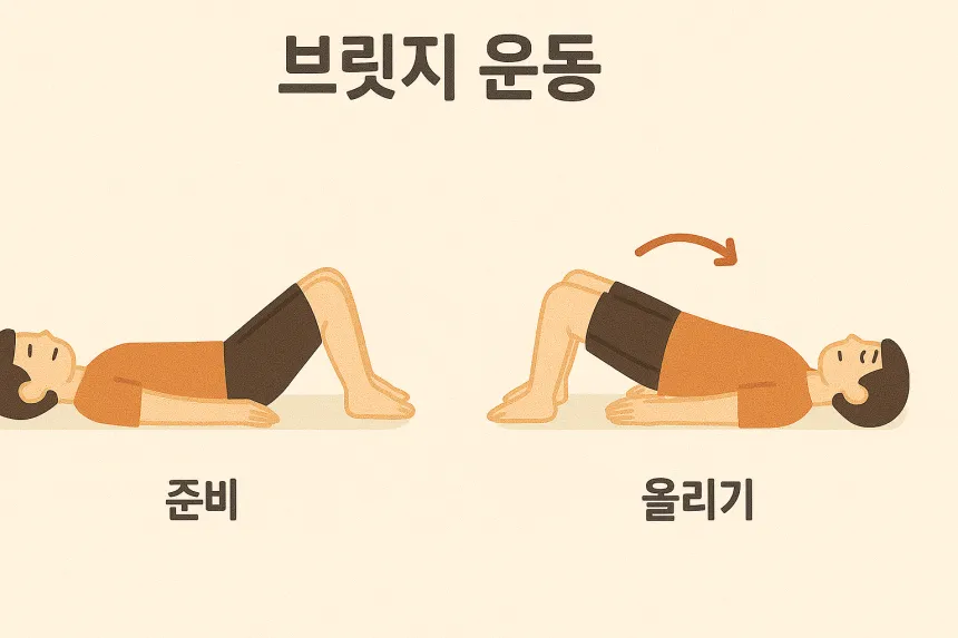 허리근육 강화운동