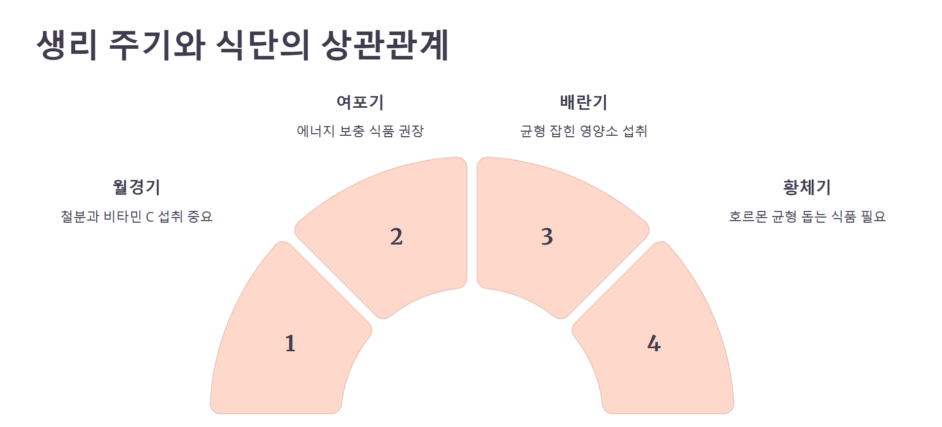 생리 주기와 식단의 상관관계