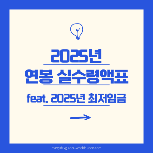 2025년 연봉 실수령액