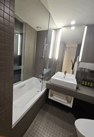 서울 신라스테이 역삼