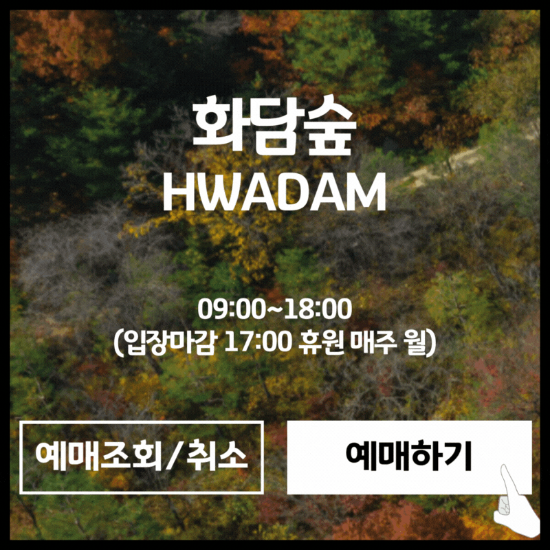 화담숲 예약 바로가기