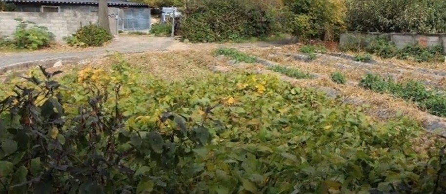 [토지매매] 전원주택부지 전망좋은 강화도, 경북 포항시 북구 신광면 상읍리, 경남 남해 고현면 갈화리, 인천 옹진군 덕전면 진리, 전북 김제시 제월동