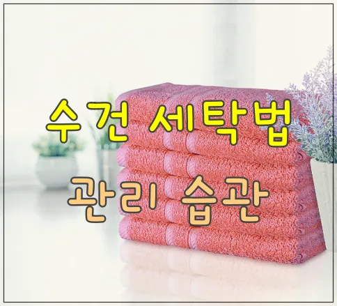 수건-세탁법-관리습관