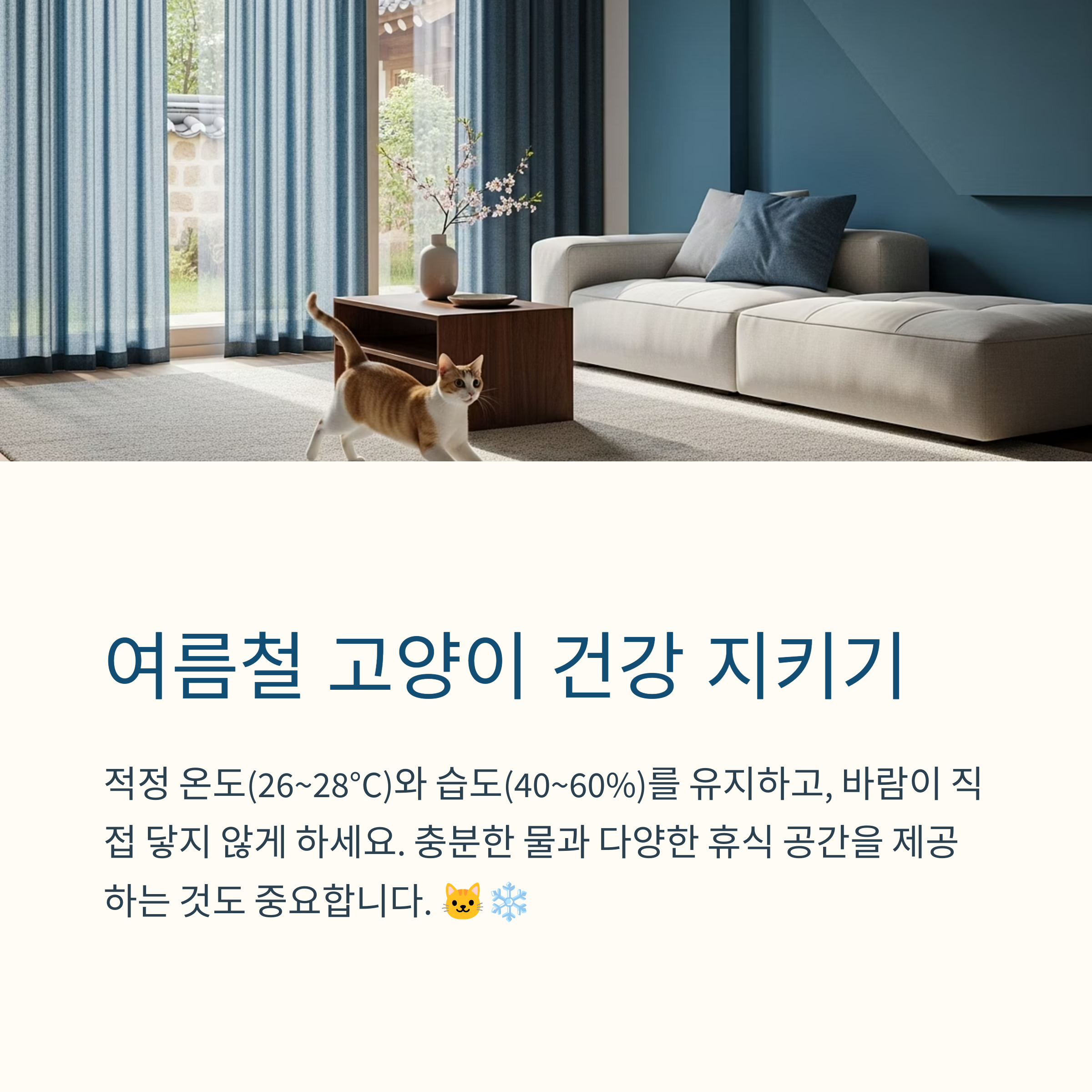 여름철 고양이 건강 지키기