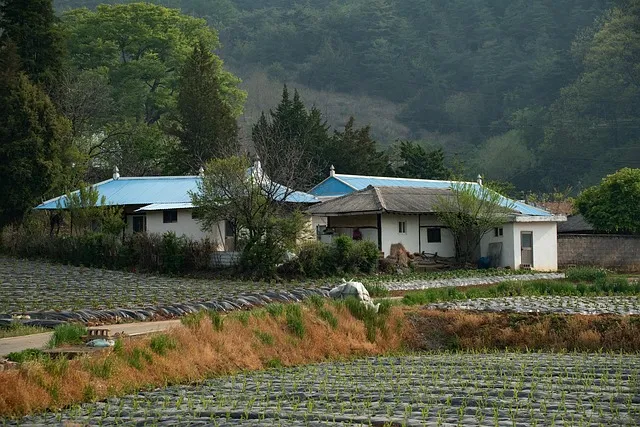 근대 국민국가 형성과 조선 민족 개념 변화 과정 요약_9